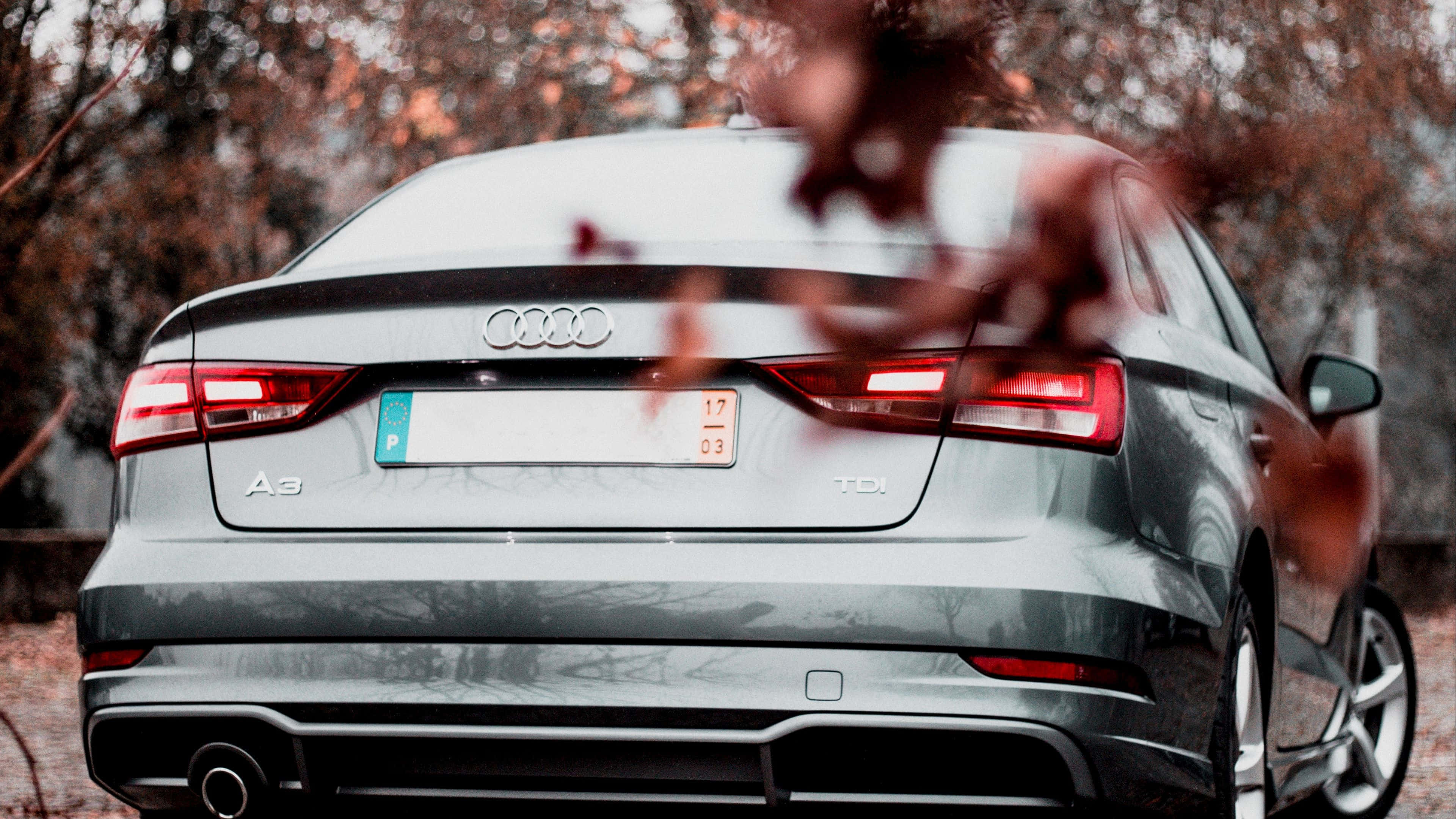 Audi A3 桌布 壁紙 — 從後方觀看的銀色奧迪A3房車，前景有模糊的秋葉，背景是柔和的森林。