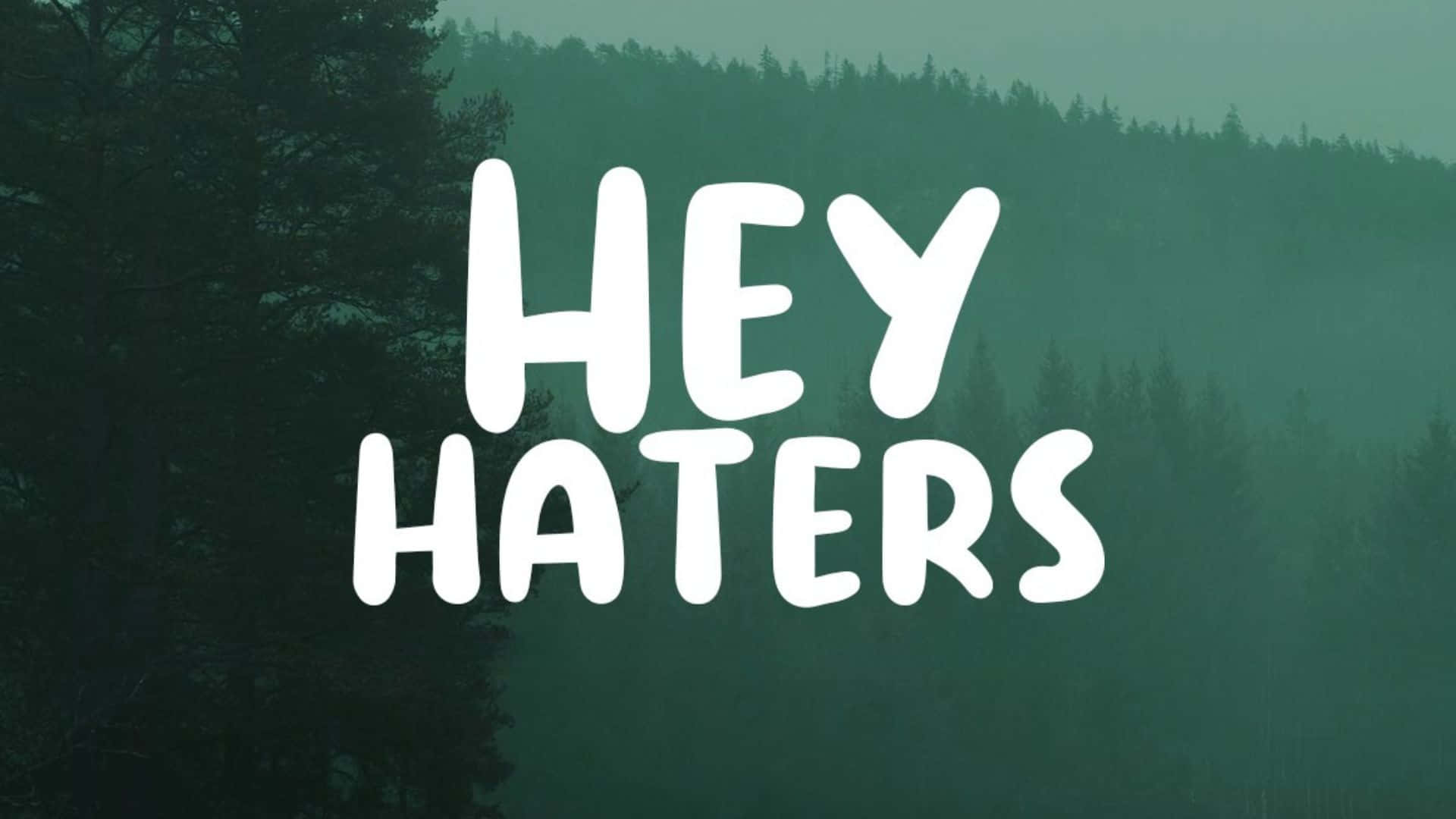  壁紙 — 粗體白色文字 hey haters 疊加在霧氣瀰漫的綠色森林上，前景有深色松樹。