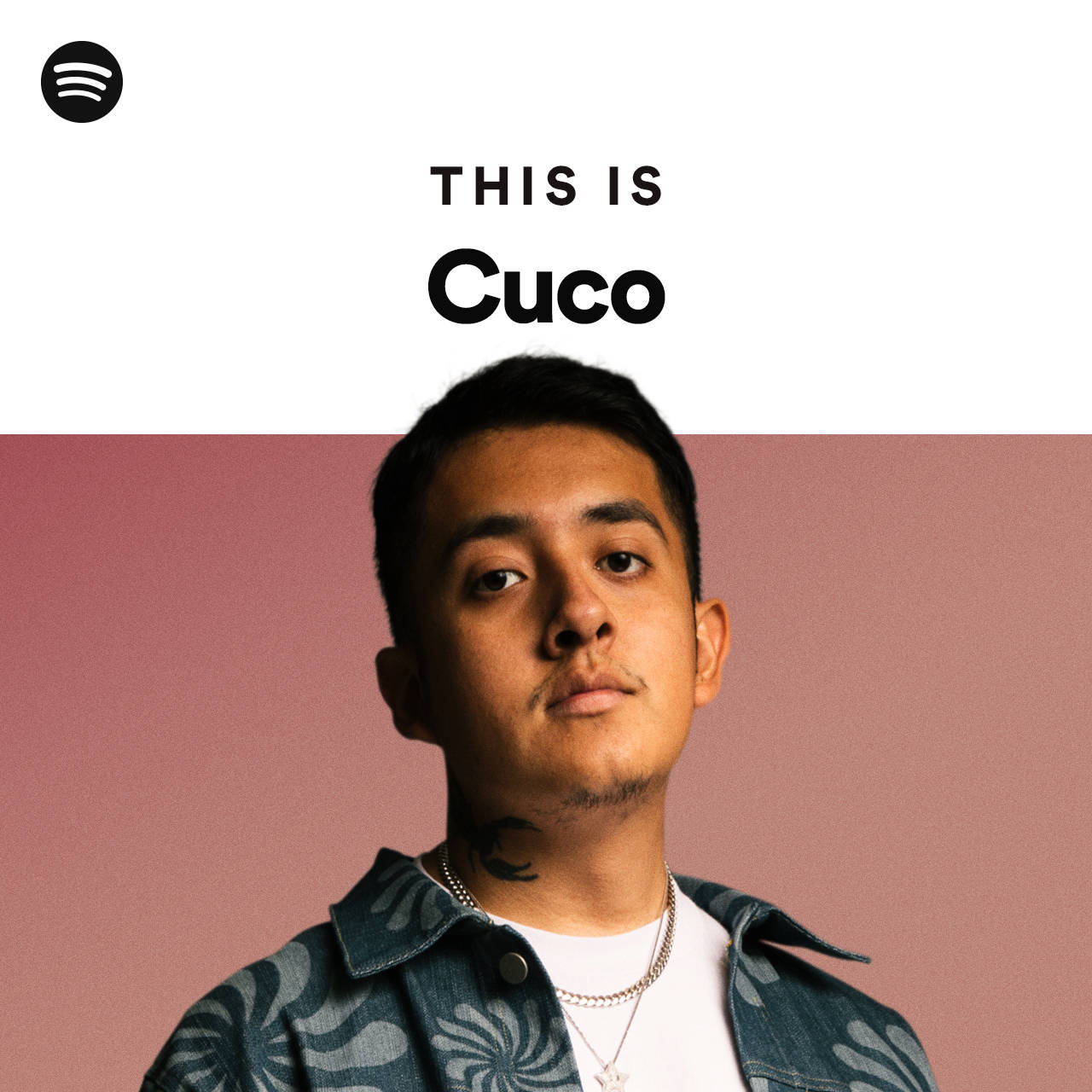 cuco - 這是cuco 壁紙