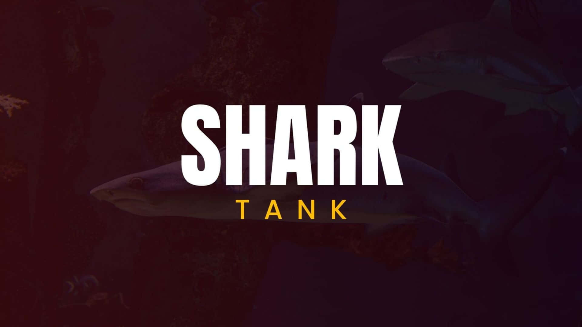  壁紙 — 大膽的白色和金色文字寫著「SHARK TANK」，疊加在一個黑暗的水下場景，鯊魚在岩石 formations 附近游動。