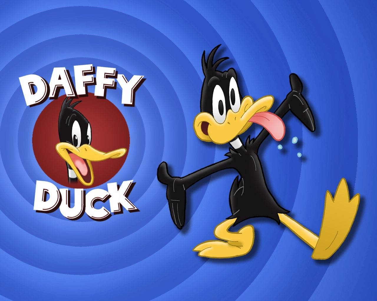達菲鴨 桌布 壁紙 — Daffy Duck 以經典卡通風格，伸出舌頭，雙臂高舉，背景為藍色螺旋圖案。