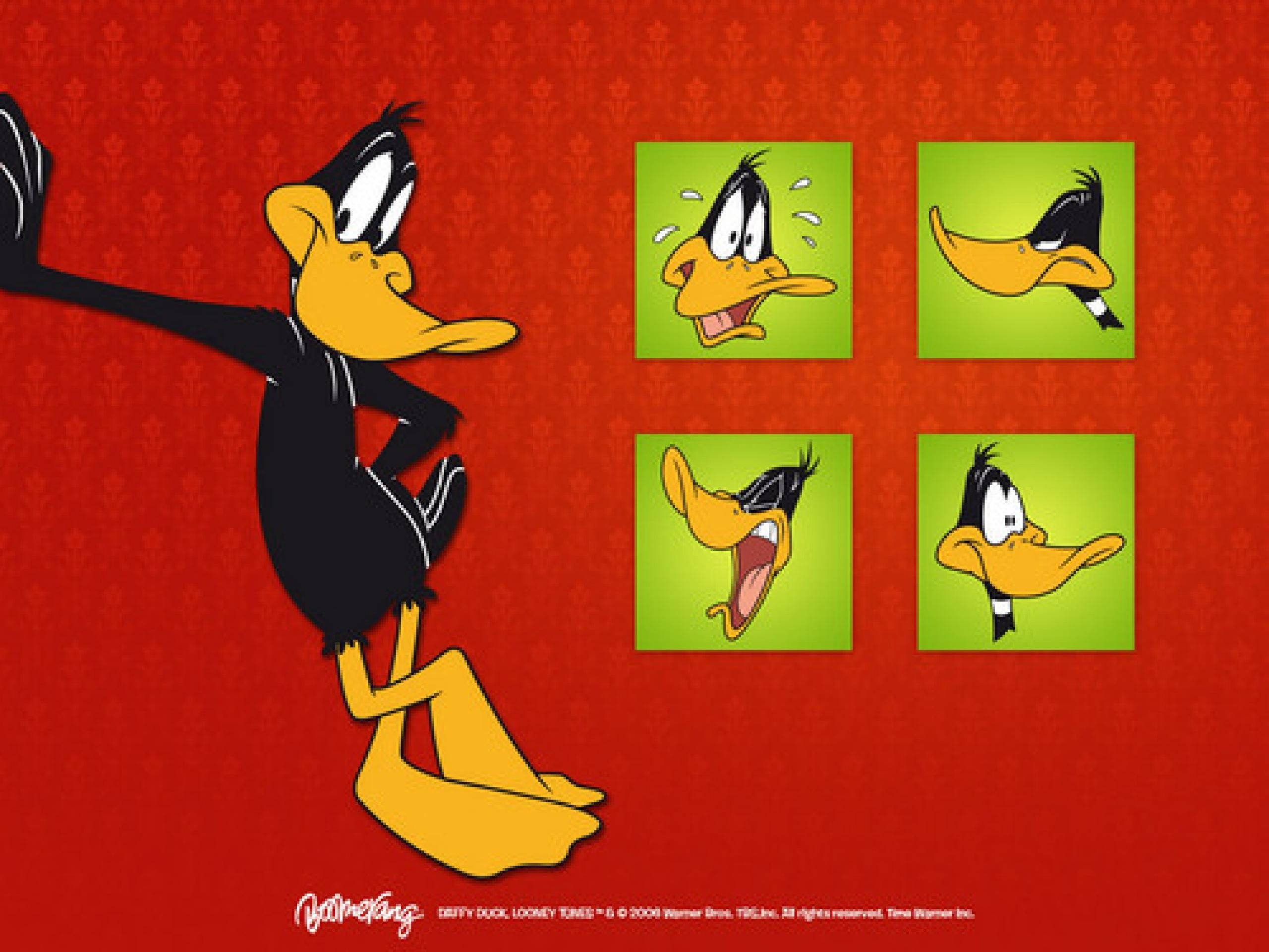 達菲鴨 桌布 壁紙 — Daffy Duck 在紅色錦緞背景前擺出戲劇性的姿勢，四個綠色面板展示了他誇張的面部表情。