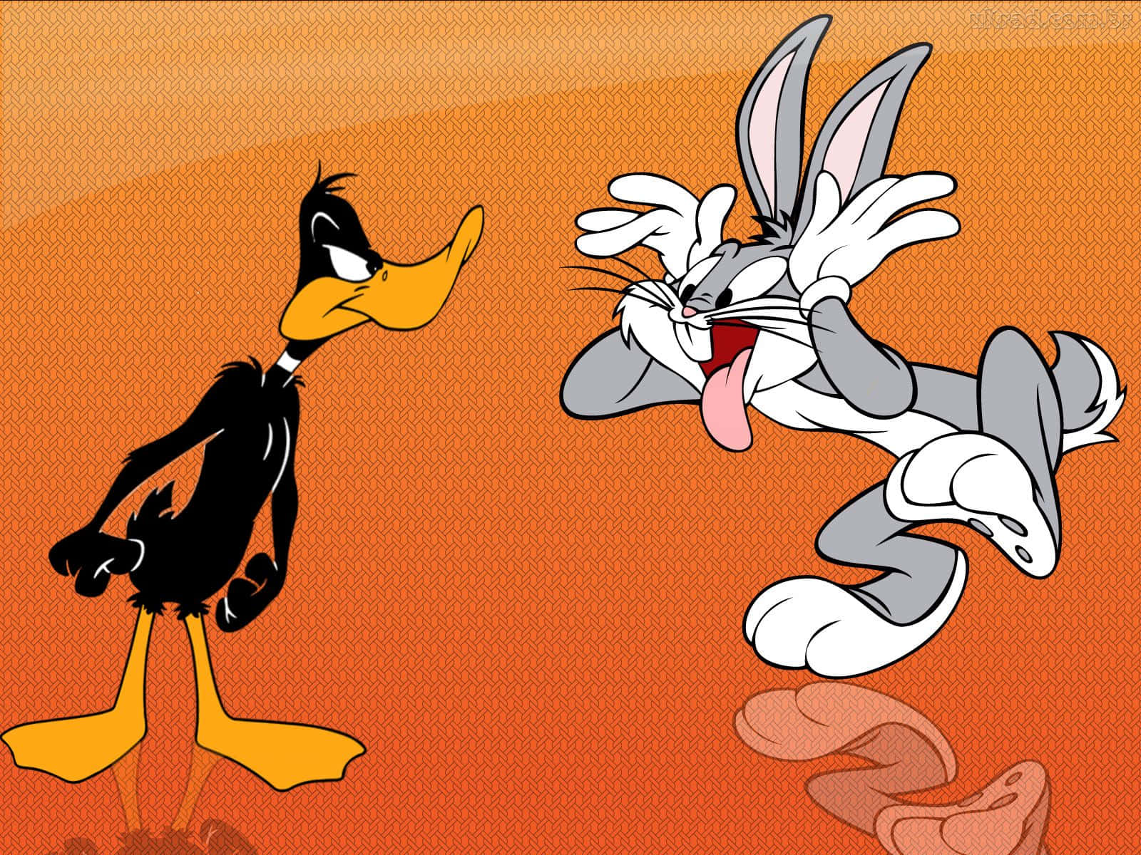 樂一通 桌布 壁紙 — Daffy Duck 對在紋理橙色背景上掙扎的 Bugs Bunny 露出得意的笑容。