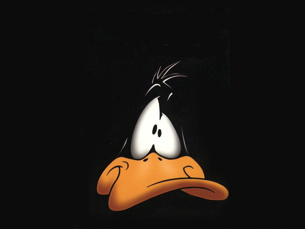 達菲鴨 桌布 壁紙 — Daffy Duck 的苦惱臉孔皺眉向前凝視，背景是純黑色。