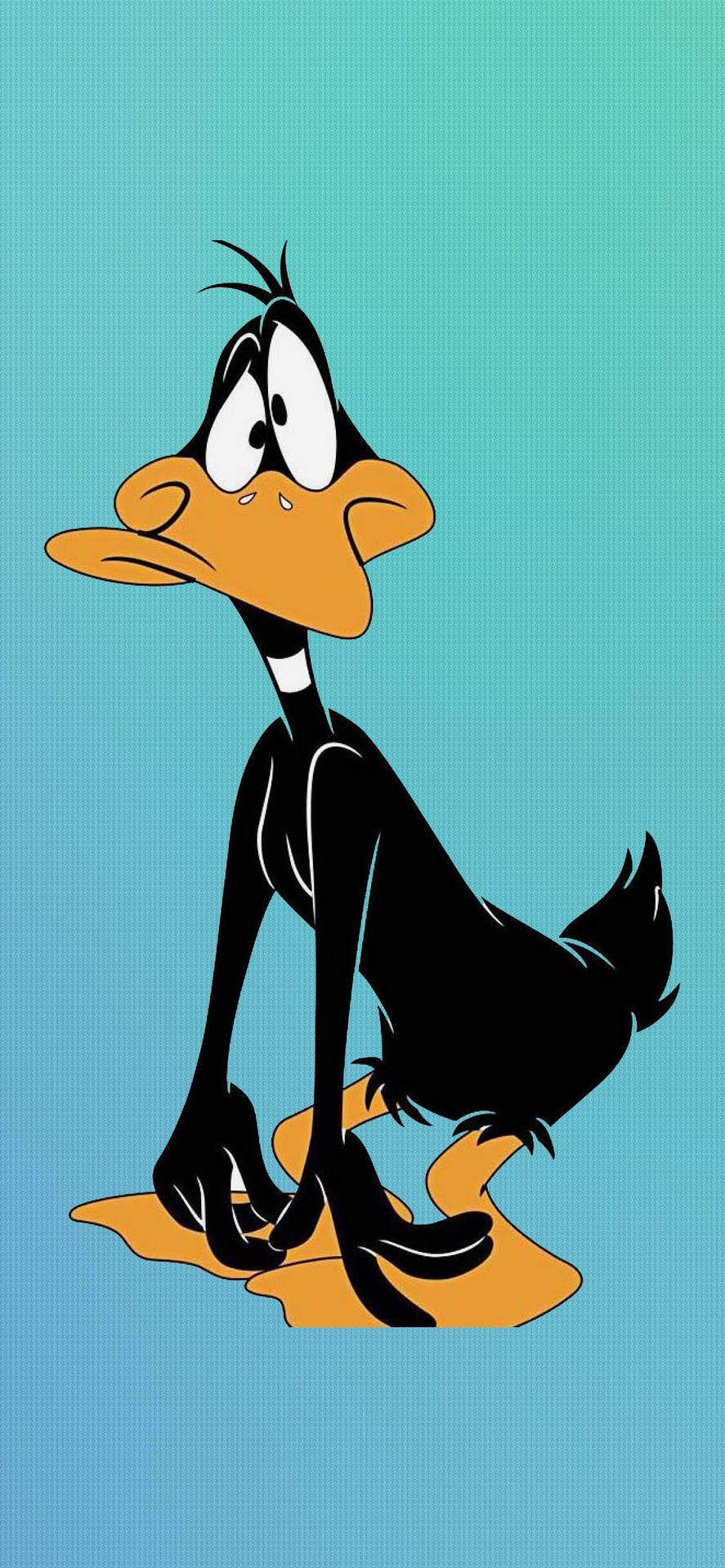 Daffy Duck 面帶不悅表情坐在漸層青綠色背景上。