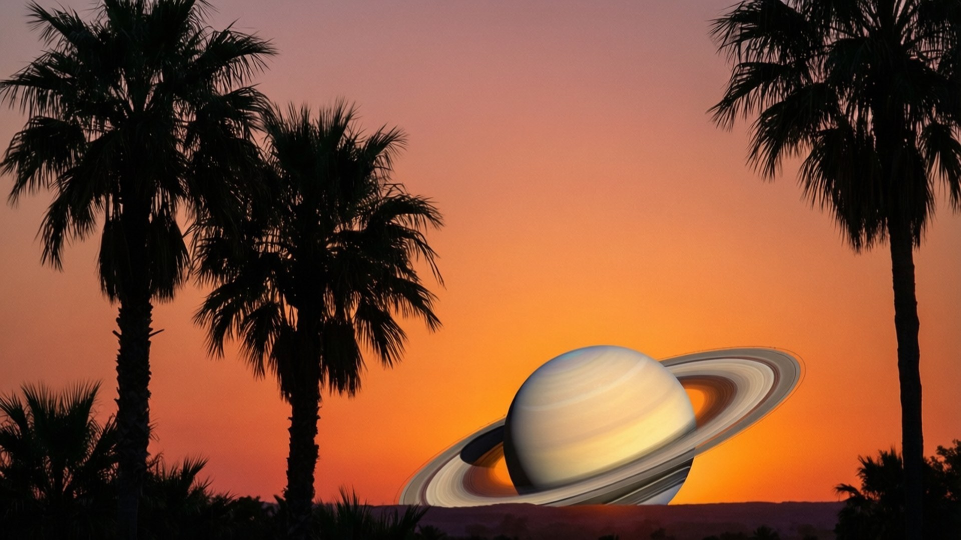 Tropical Saturn Sunset 壁紙 — 帶有光環的土星在火紅的橙色日落天空背景下，聳立在剪影棕櫚樹後方。