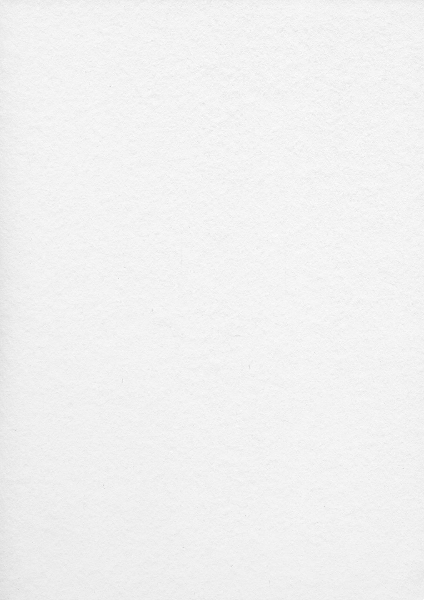 用於設計或書寫的空白紋理白色紙張表面。 — 白色 壁紙