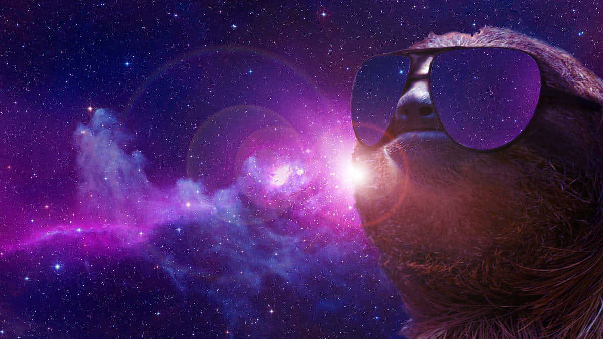  壁紙 — 一隻戴著太陽眼鏡的樹懶凝視著一個充滿宇宙恆星和鏡頭光暈的鮮豔紫色星雲。
