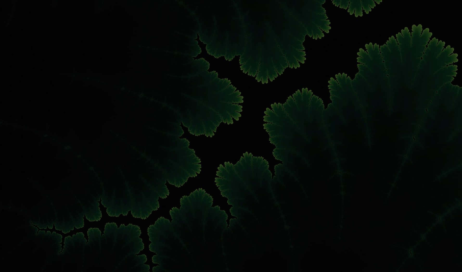 黑色背景上發光的綠色碎形葉片圖案 — Amoled 壁紙
