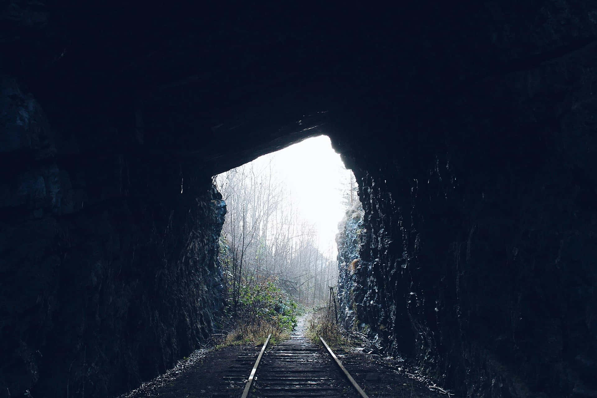  壁紙 — 黑暗的火車隧道通向黎明時分明亮霧氣瀰漫的森林，鐵軌引領向光明。