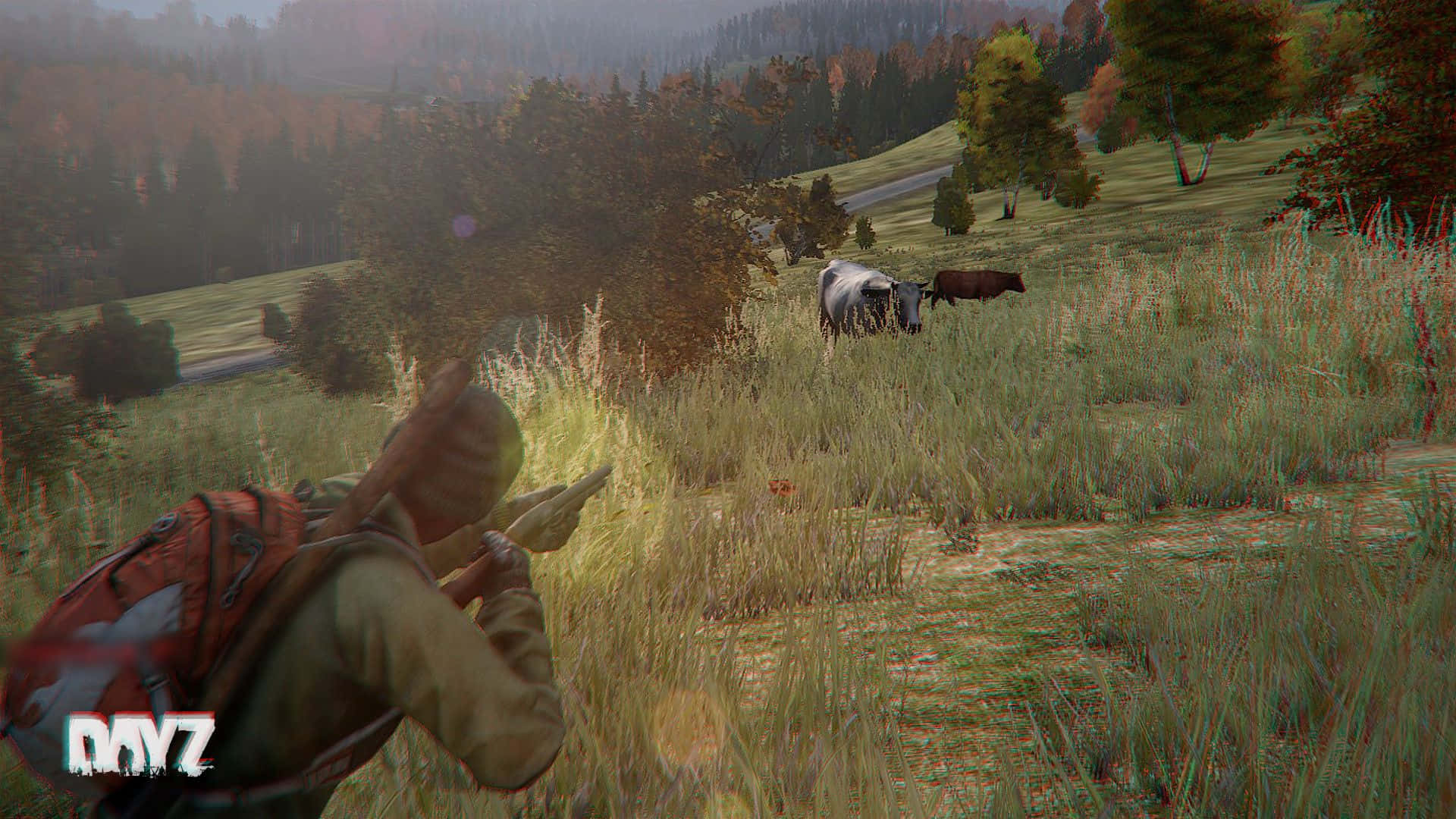 Hunting Desktop 桌布 壁紙 — DayZ中的玩家蹲在高草叢中，用步槍瞄準兩頭在霧氣瀰漫的秋日山坡上吃草的牛。