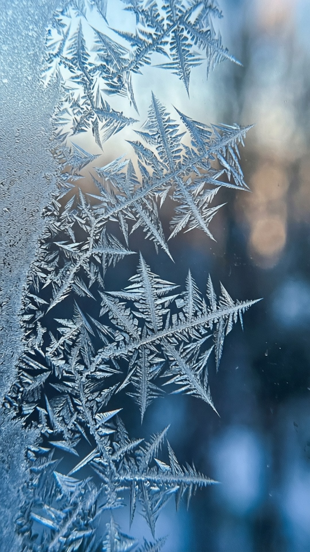 Frosted Window Crystals 壁紙 — 精緻的霜晶在玻璃表面形成複雜的蕨類圖案，帶有柔和的藍色背景散景。