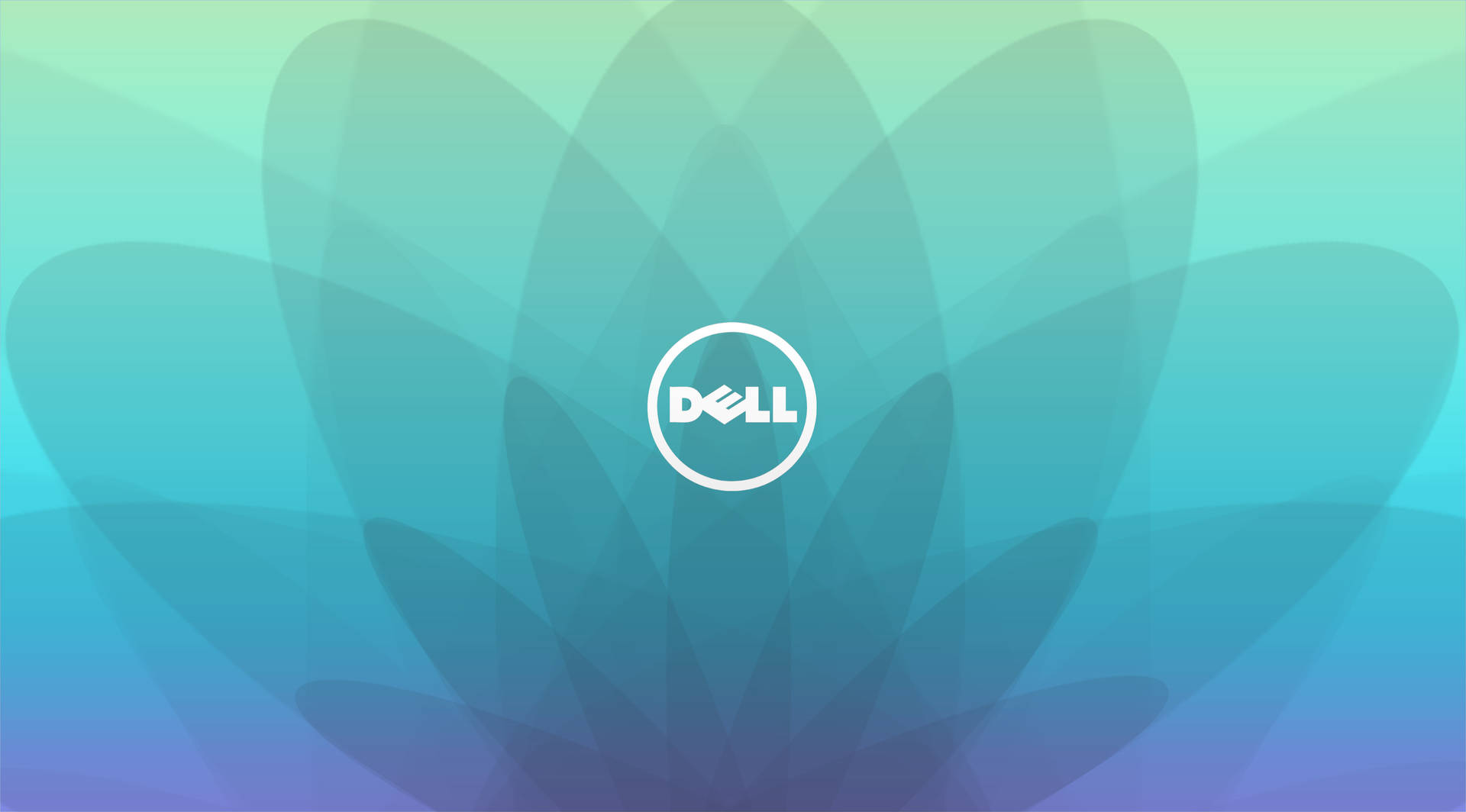 Dell 標誌在抽象青綠色和藍色漸變背景上，帶有花瓣形狀。 — Dell 壁紙