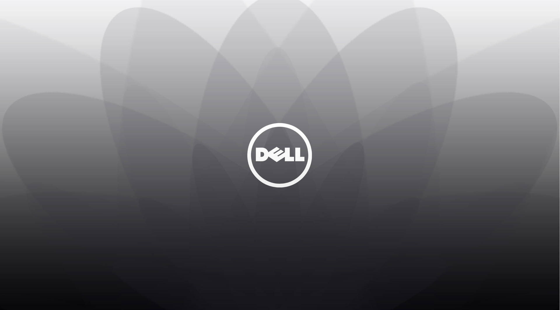 Dell 標誌在抽象灰色背景上，帶有柔和的花瓣形狀。 — Dell 壁紙