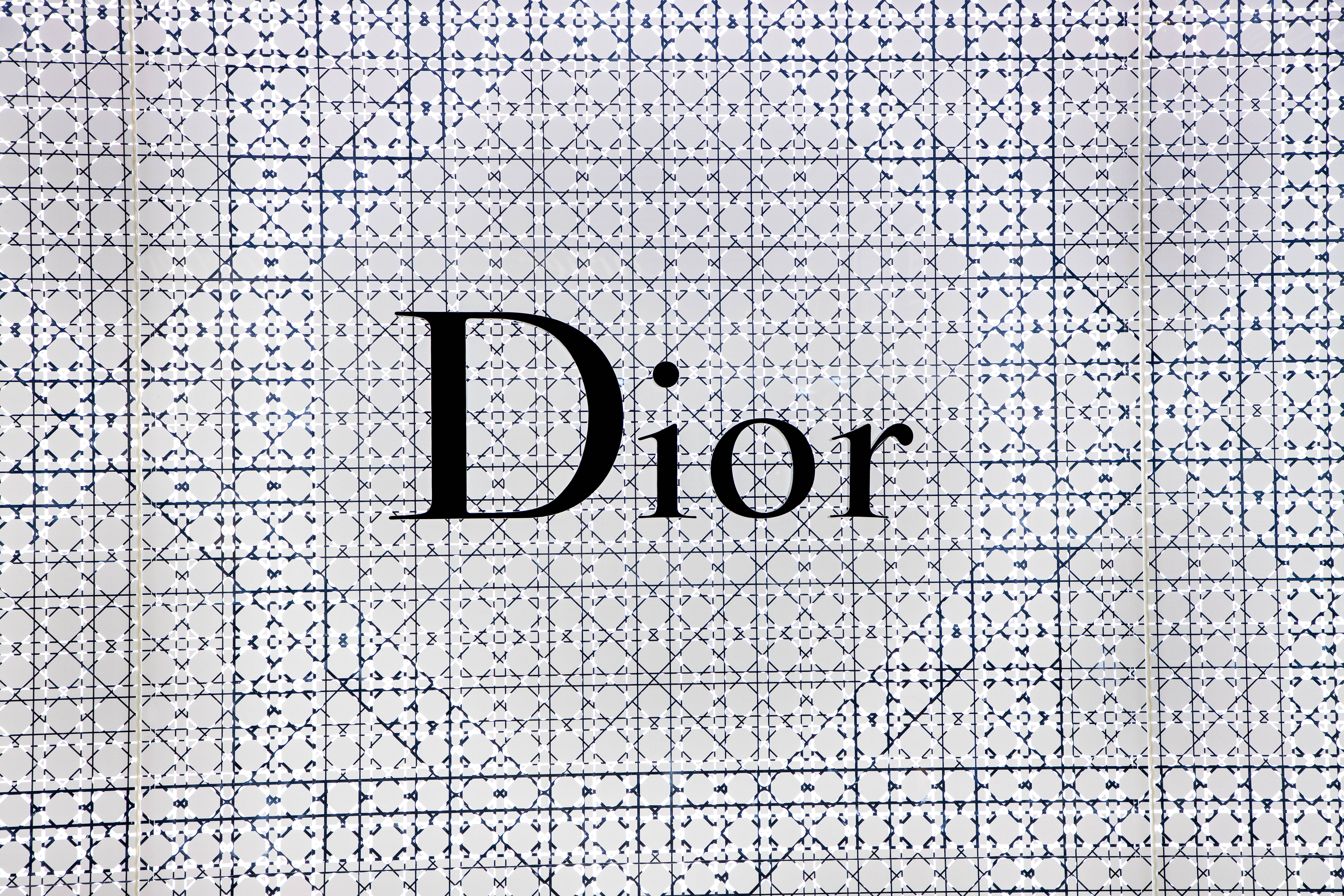 Dior 動態 桌布 壁紙 — Dior 標誌以粗體黑色襯線字體居中於白色背景上，帶有複雜的藍色幾何網格圖案。