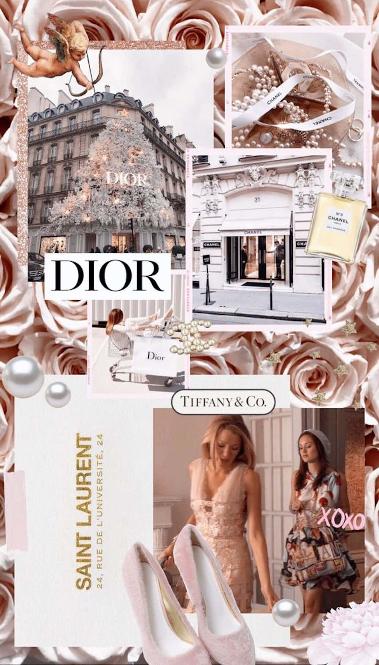 Dior - 玫瑰與鞋子的拼貼 壁紙