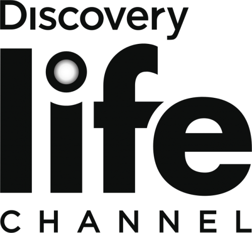 標誌 桌布 壁紙 — Discovery Life Channel 標誌，採用粗體深色字體，字母 i 上有一個發光的白色圓點，背景為黑色。