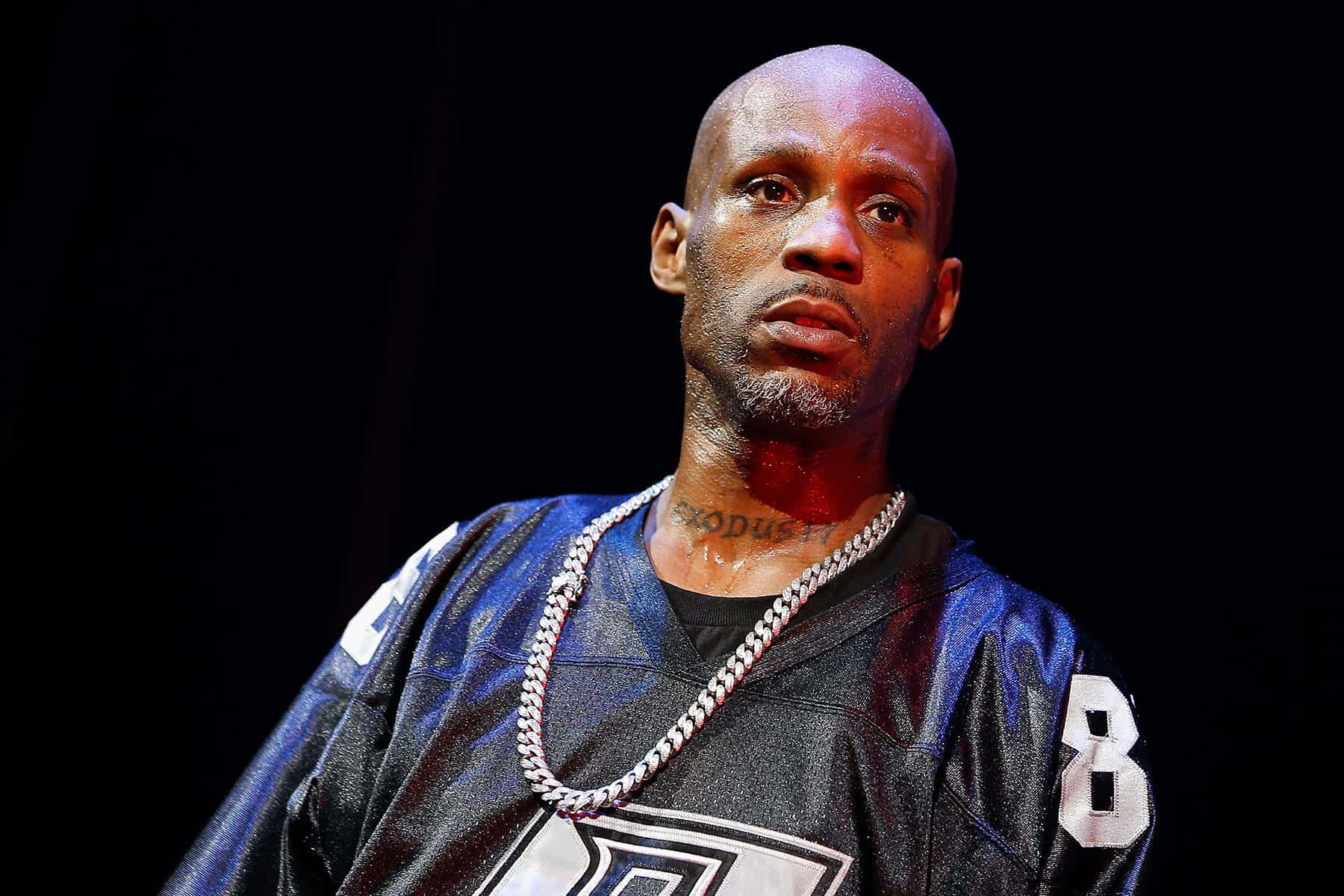Dmx 圖片 壁紙