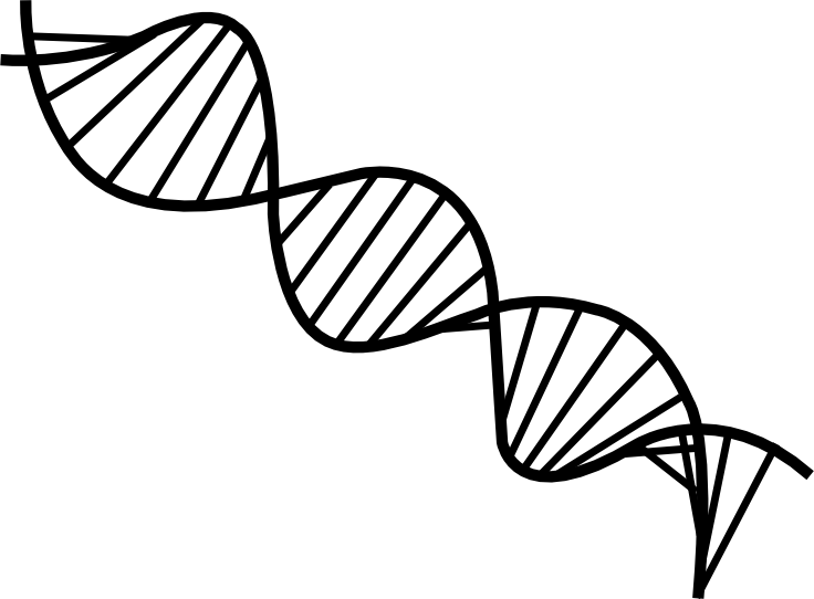 DNA 雙螺旋圖形 壁紙