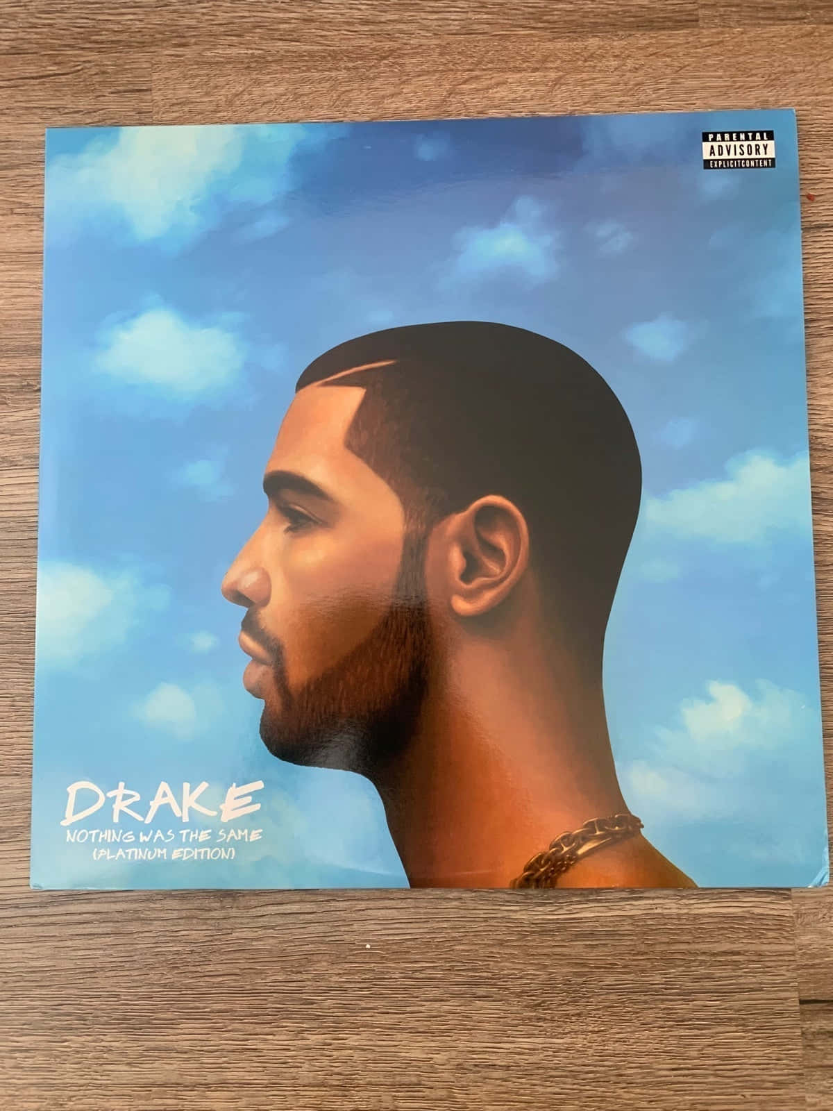 桌布 壁紙 — Drake 的風格化側面肖像，背景為藍天白雲，放置在木質表面上。