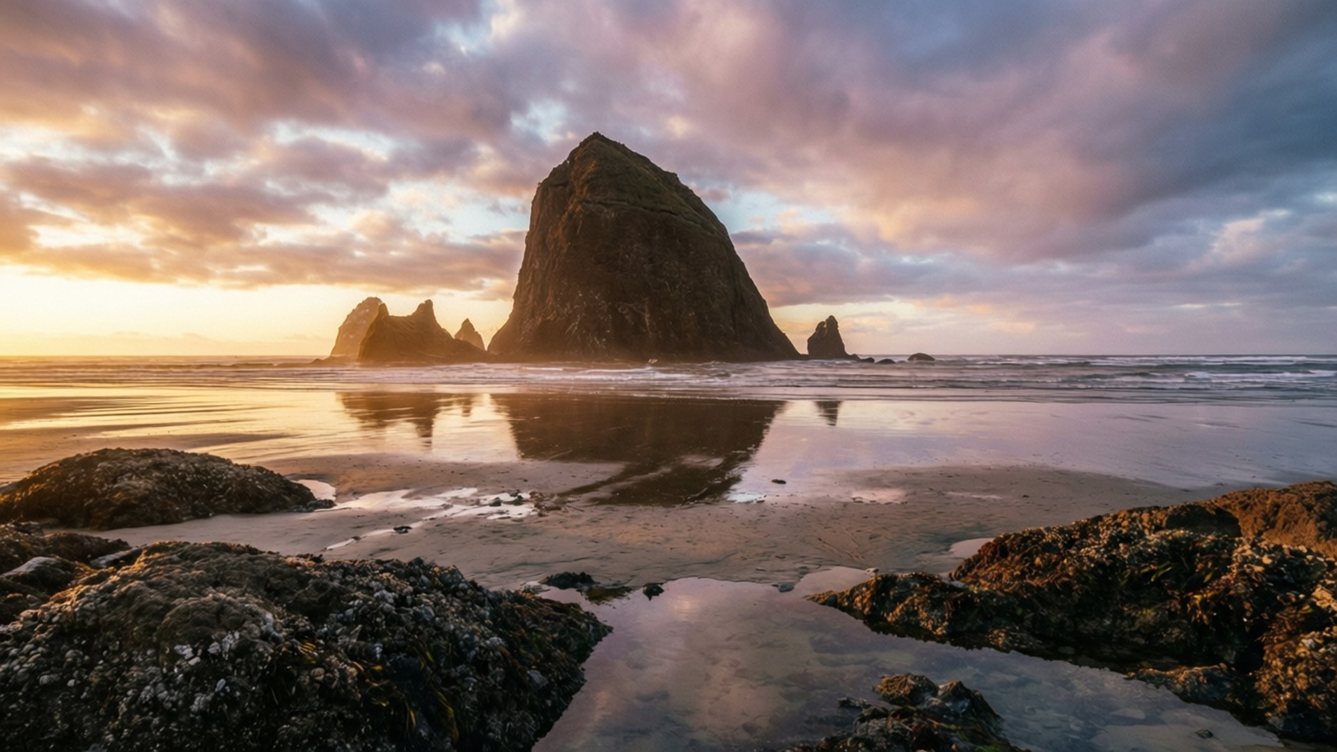 Haystack Rock at Sunset 壁紙 — 戲劇性的日落將溫暖的金色光芒投射在聳立的海蝕柱上，這些海蝕柱倒映在岩石海灘的濕沙和潮汐池中。