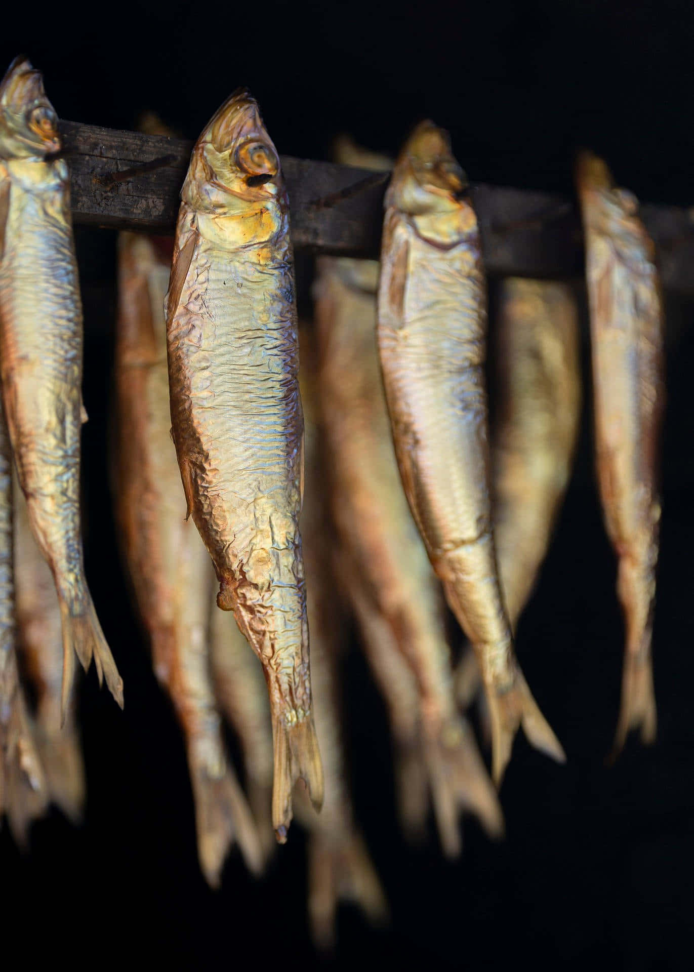 壁紙 — 乾魚掛在木架上排成一排，背景漆黑，魚鱗閃爍著金琥珀色調。