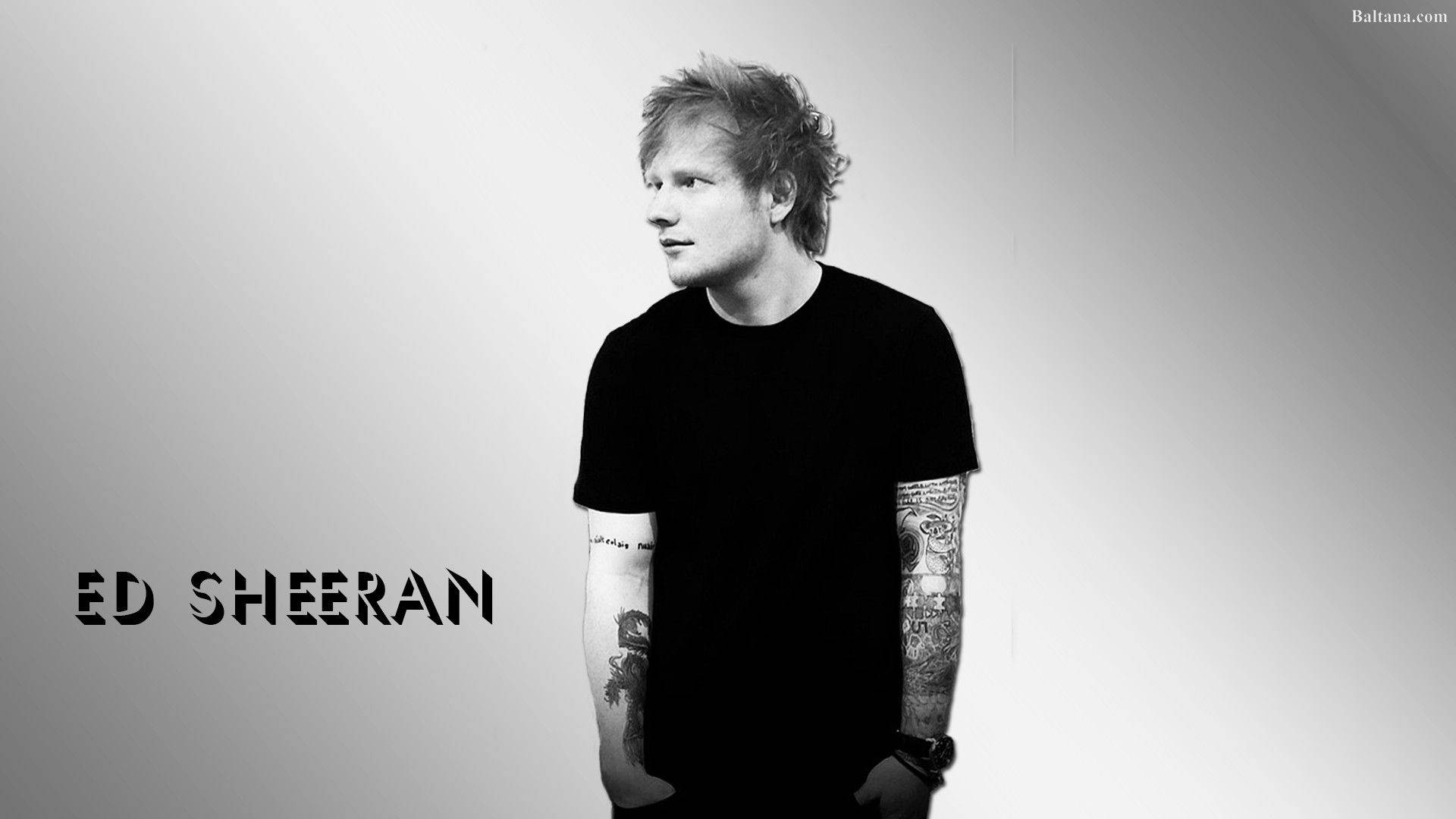 紅景天 桌布 壁紙 — Ed Sheeran 的黑白肖像，站在漸層背景前，手臂上的刺青清晰可見。