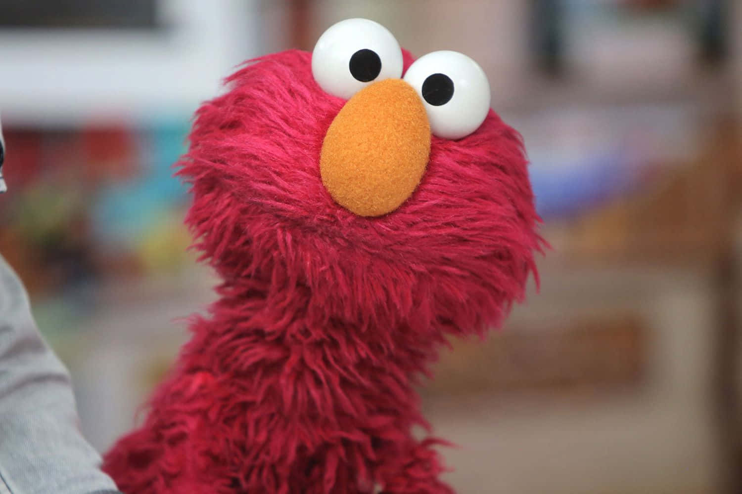 Elmo 1500 x 1000 圖片 壁紙