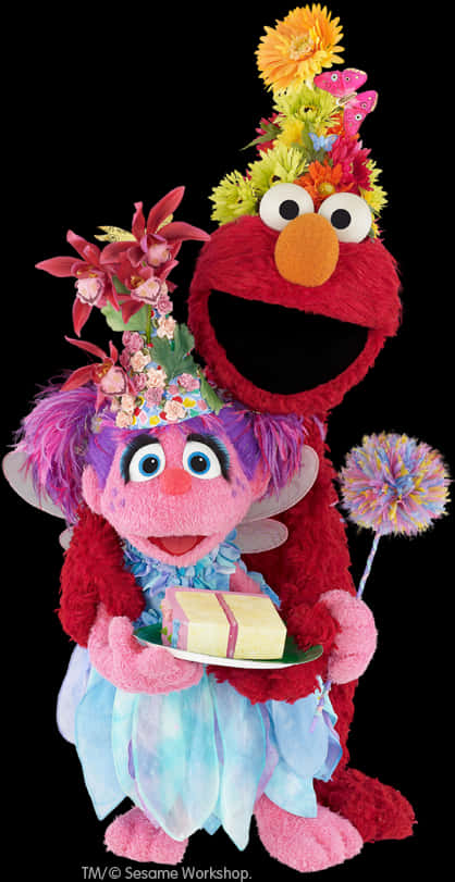 Elmo 桌布 壁紙 — Elmo 和 Abby Cadabby 穿著節日花卉服裝，在黑色背景前與生日蛋糕愉快地擺姿勢。