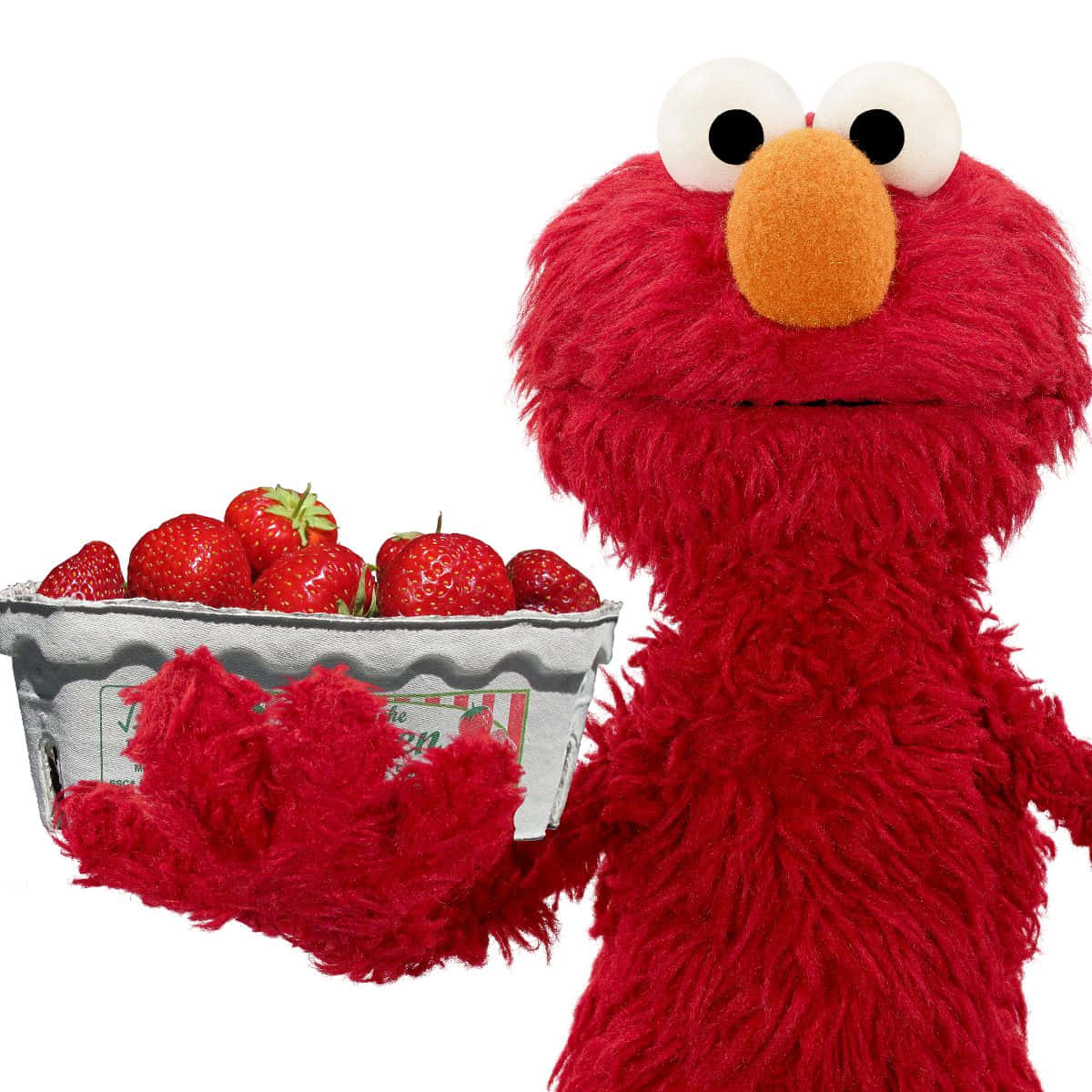 Elmo 桌布 壁紙 — Elmo 在純白背景前拿著一盒新鮮草莓。