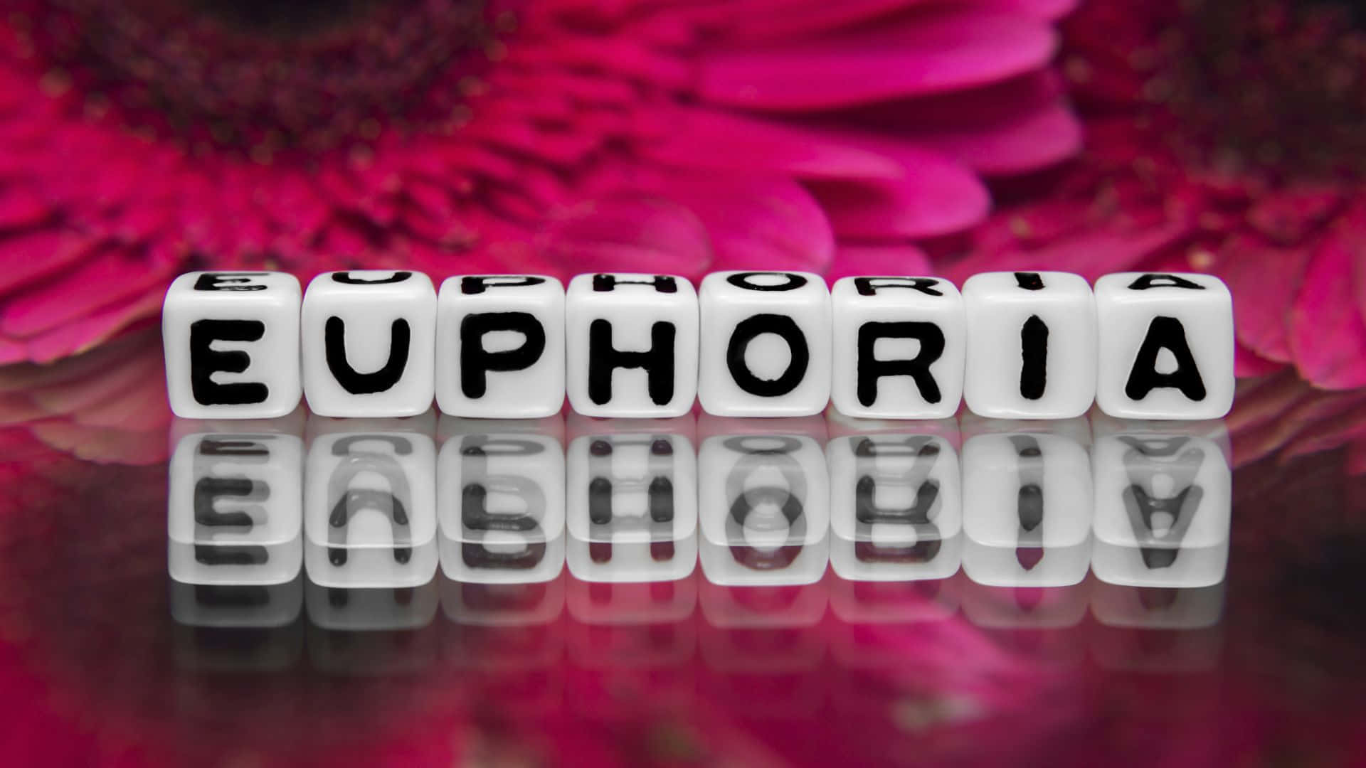 euphoria - euphoria 由 euphoria 創作 壁紙