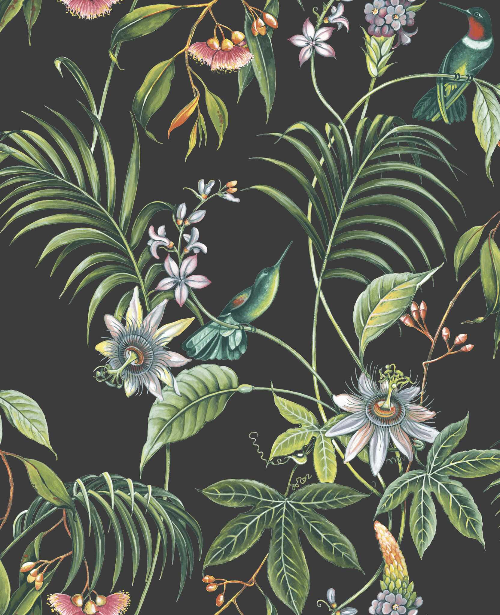 Botanical 桌布 壁紙 — 異國熱帶花卉和蜂鳥在深炭灰色背景上鮮豔綻放，形成茂盛的植物圖案。