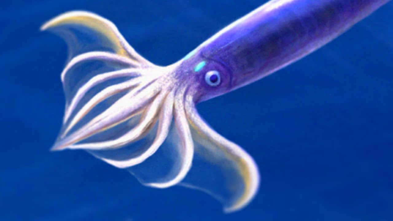  壁紙 — 一隻發光的紫色魷魚，帶有半透明的觸手，在深藍色的海水中滑行。