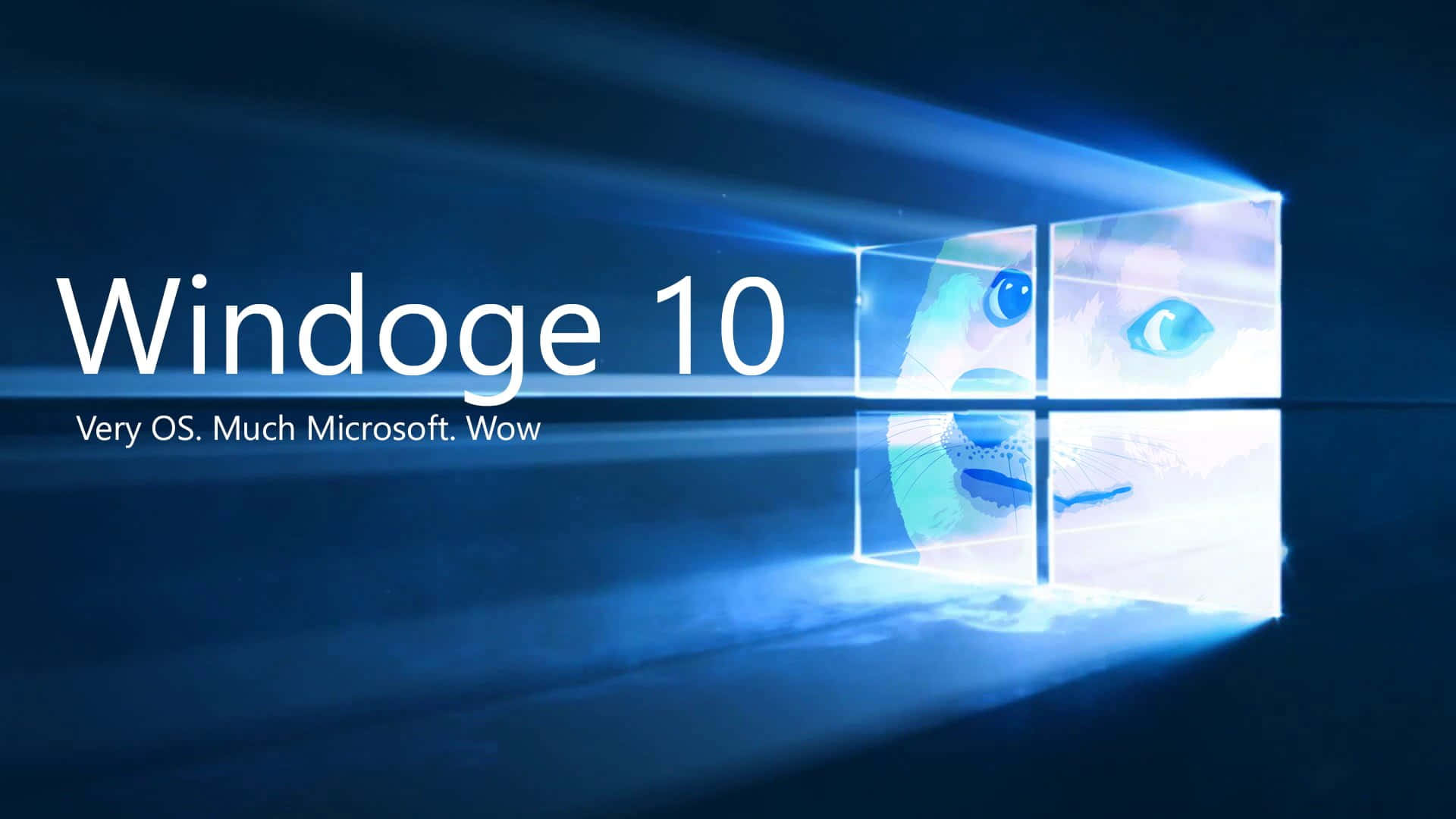 Windows 10標誌，發光藍色窗格內有狗狗貓臉。 — Meme 壁紙