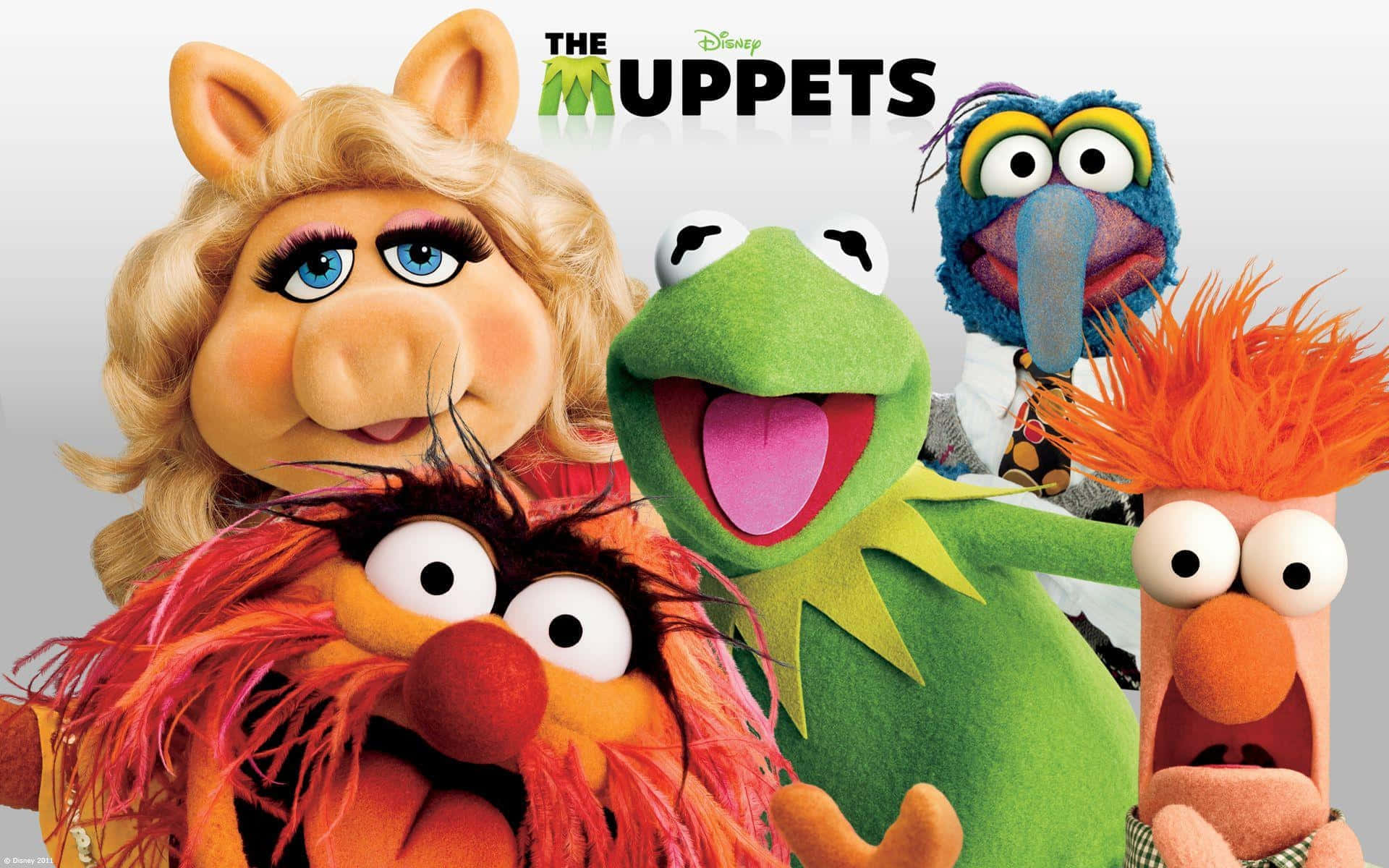  壁紙 — 著名的Muppets角色，包括Kermit、Miss Piggy、Fozzie Bear和Animal，一起在歡樂的宣傳照中擺姿勢。