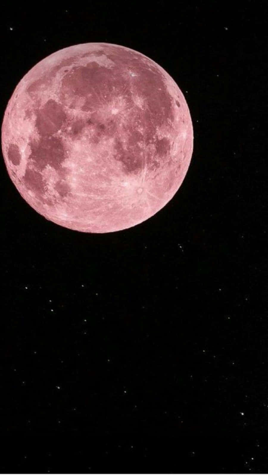 Strawberry Moon 桌布 壁紙 — 一輪明亮的粉紅色滿月主宰著繁星點點的夜空，深邃的黑色虛空和散落的光點。
