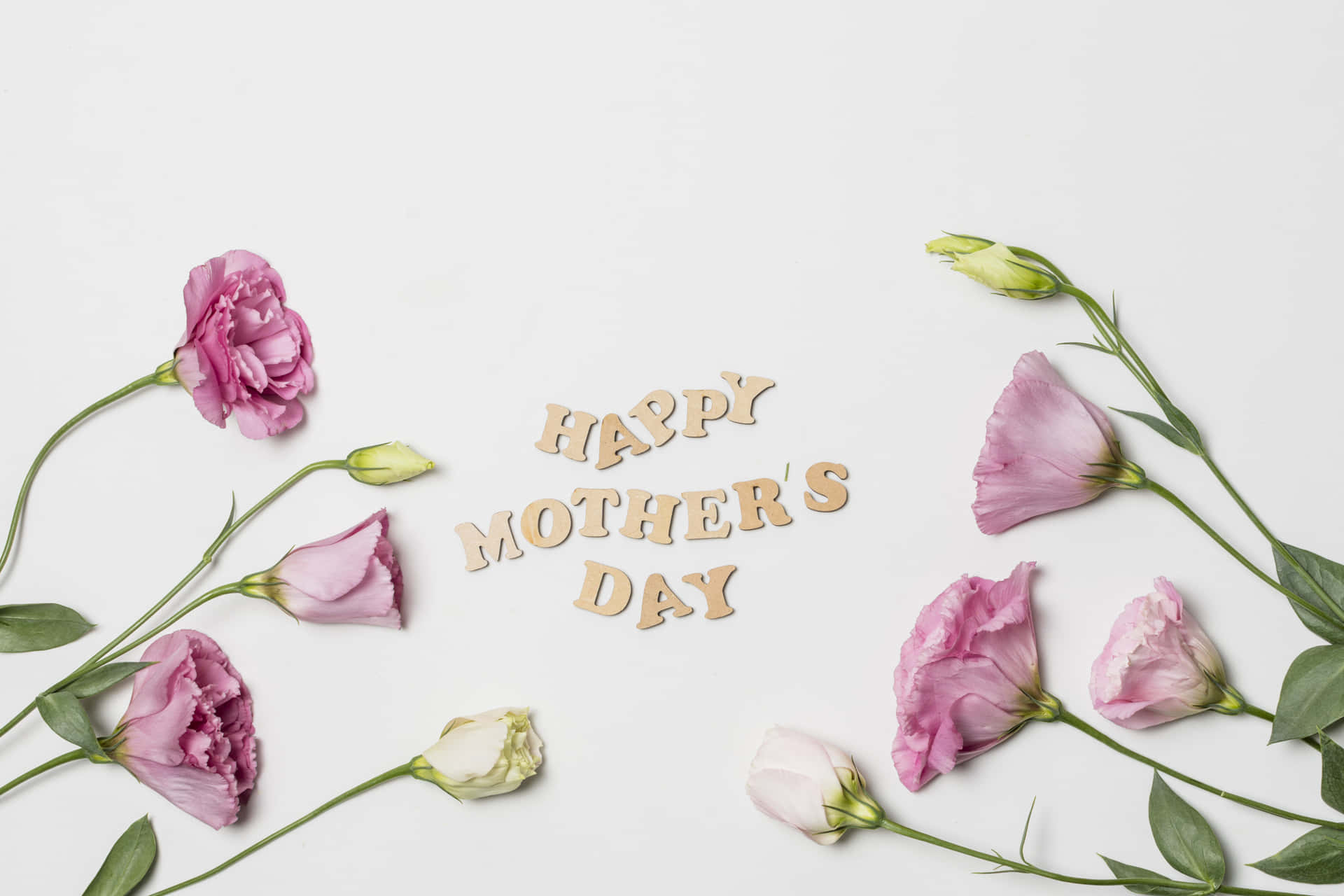  壁紙 — 粉紅色洋桔梗花和拼出 happy mothers day 的木製字母，排列在潔白的背景上。
