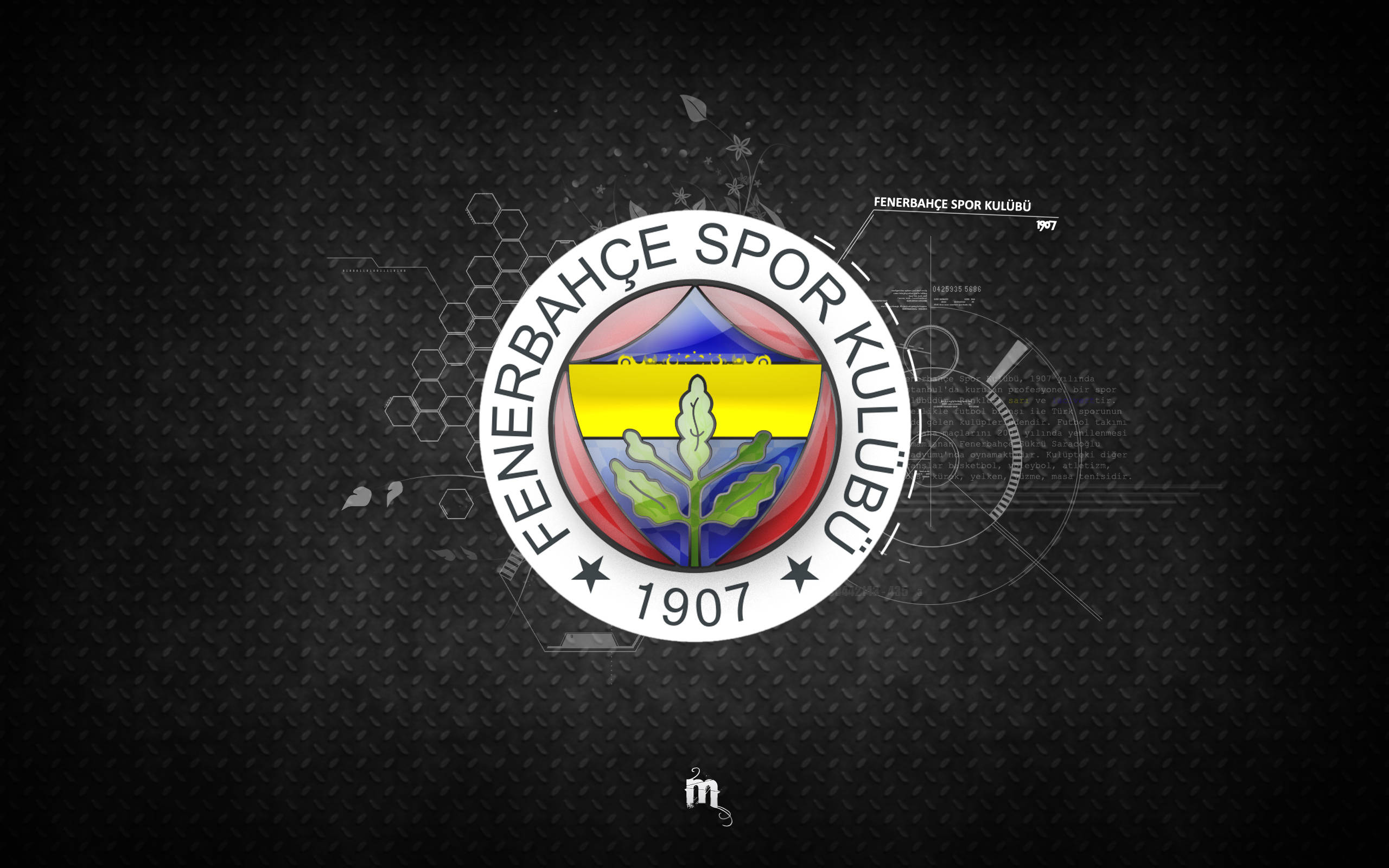 Fenerbahce 桌布 壁紙 — Fenerbahçe Spor Kulübü 標誌居中於帶有技術示意元素的深色紋理背景上。