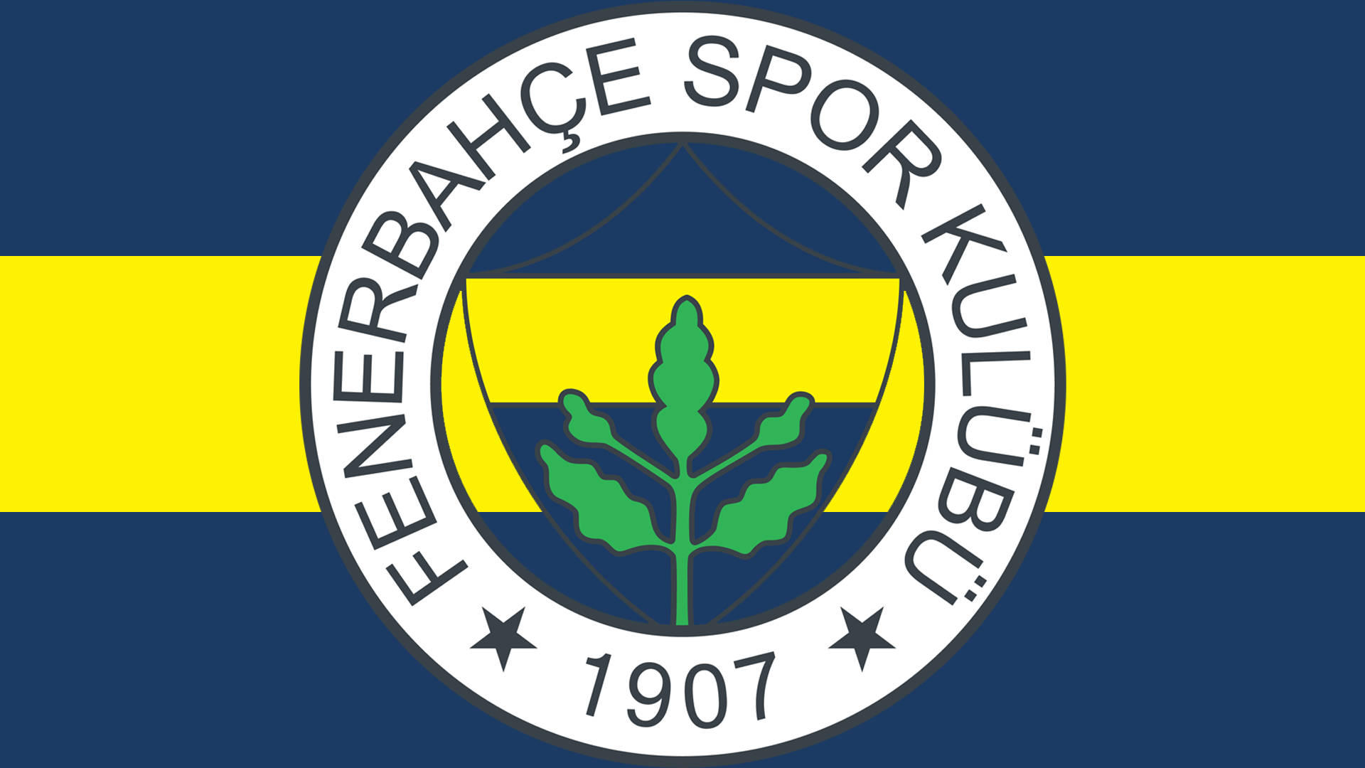 Fenerbahce 桌布 壁紙 — Fenerbahçe Spor Kulübü 旗幟，藍黃橫條紋，中央徽章有綠色樹木和1907年。