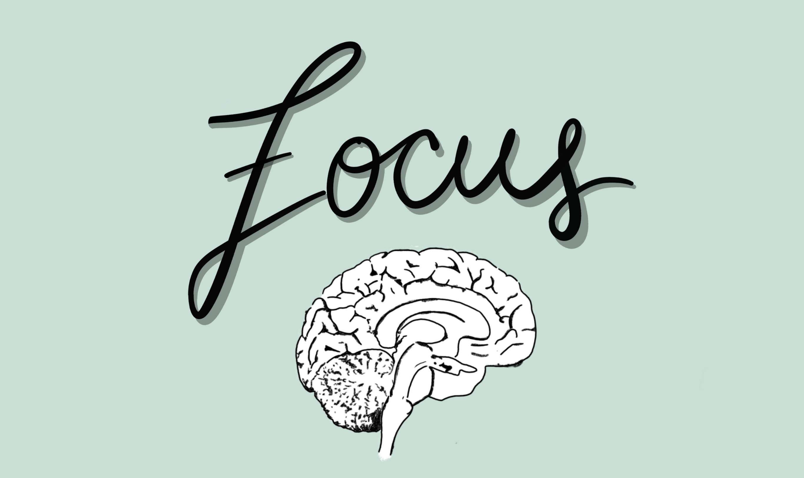 doctor motivation 桌布 壁紙 — 「Focus」一詞以粗體黑色字體懸浮在一個詳細的人類大腦線條圖案之上，背景為柔和的薄荷綠色。