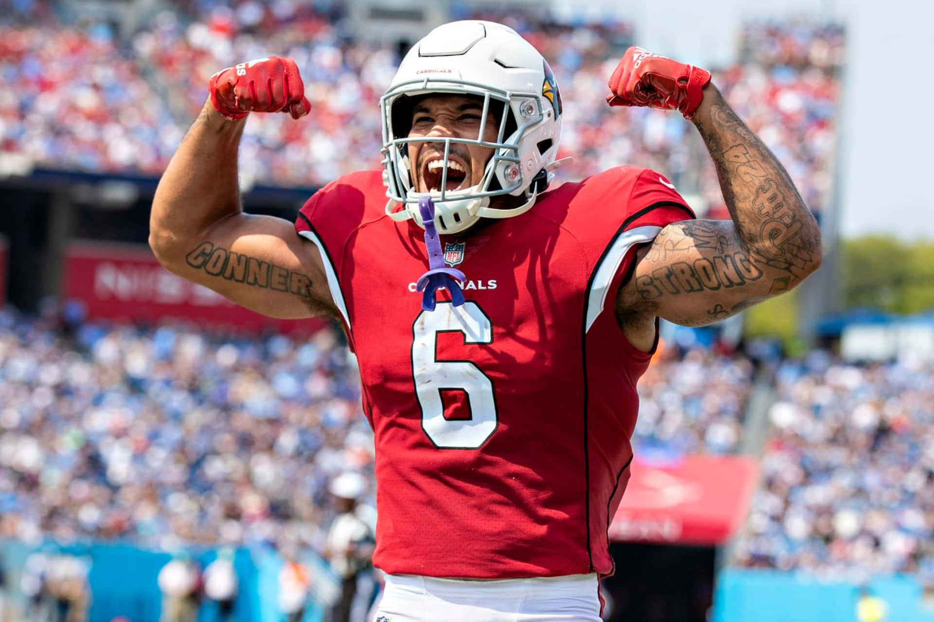  壁紙 — 一名身穿紅色 Cardinals 球衣、背號 6 的美式足球員在擠滿觀眾的體育館中，於明亮的陽光下高舉拳頭慶祝。