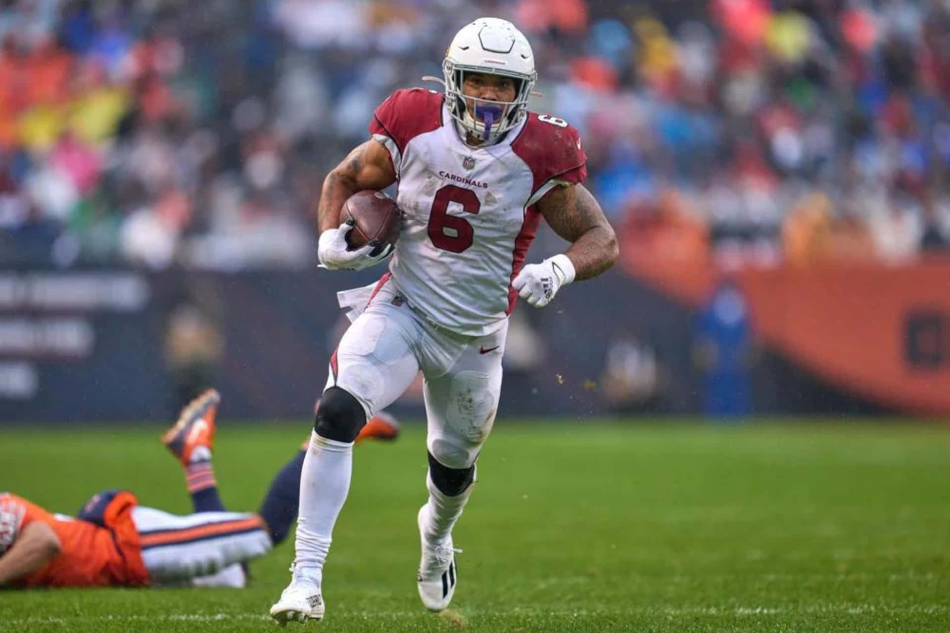  壁紙 — 一名身穿紅白 Cardinals 球衣的足球員在日間比賽中於綠色球場上帶球衝刺。