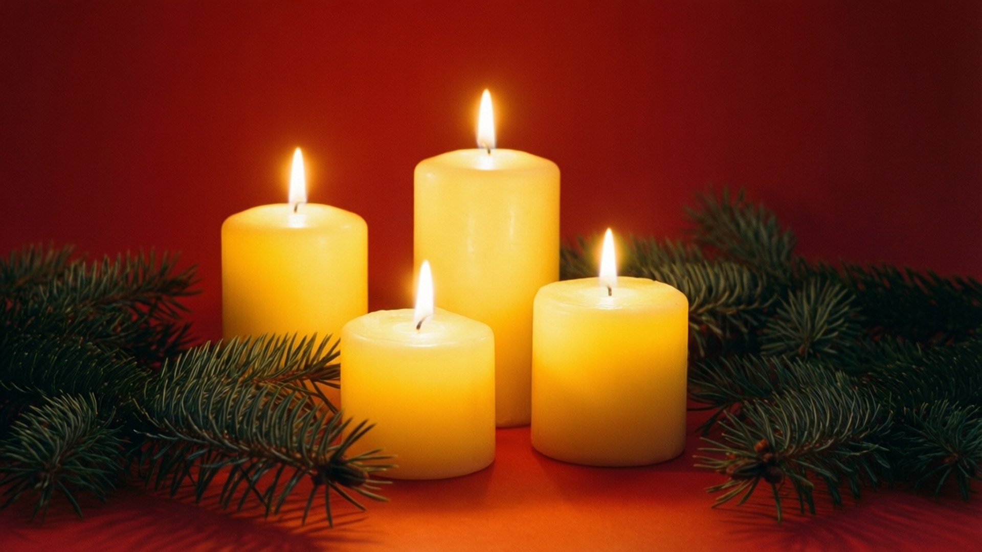 Candles and Pine 壁紙 — 四支點燃的黃色蠟燭在深紅色背景上溫暖地發光，背景由深綠色松樹枝條框住。