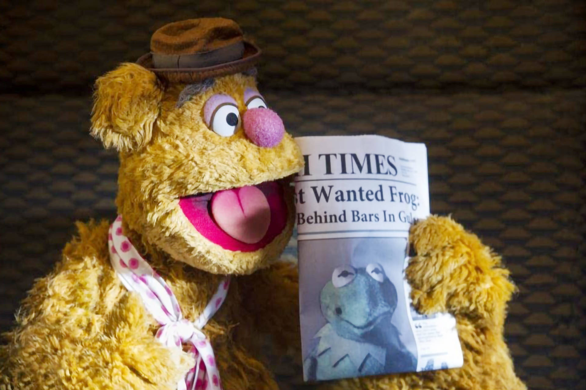 muppets 桌布 壁紙 — Fozzie Bear 戴著棕色帽子和波點圍巾，正在閱讀一份頭版有Kermit the Frog的報紙。