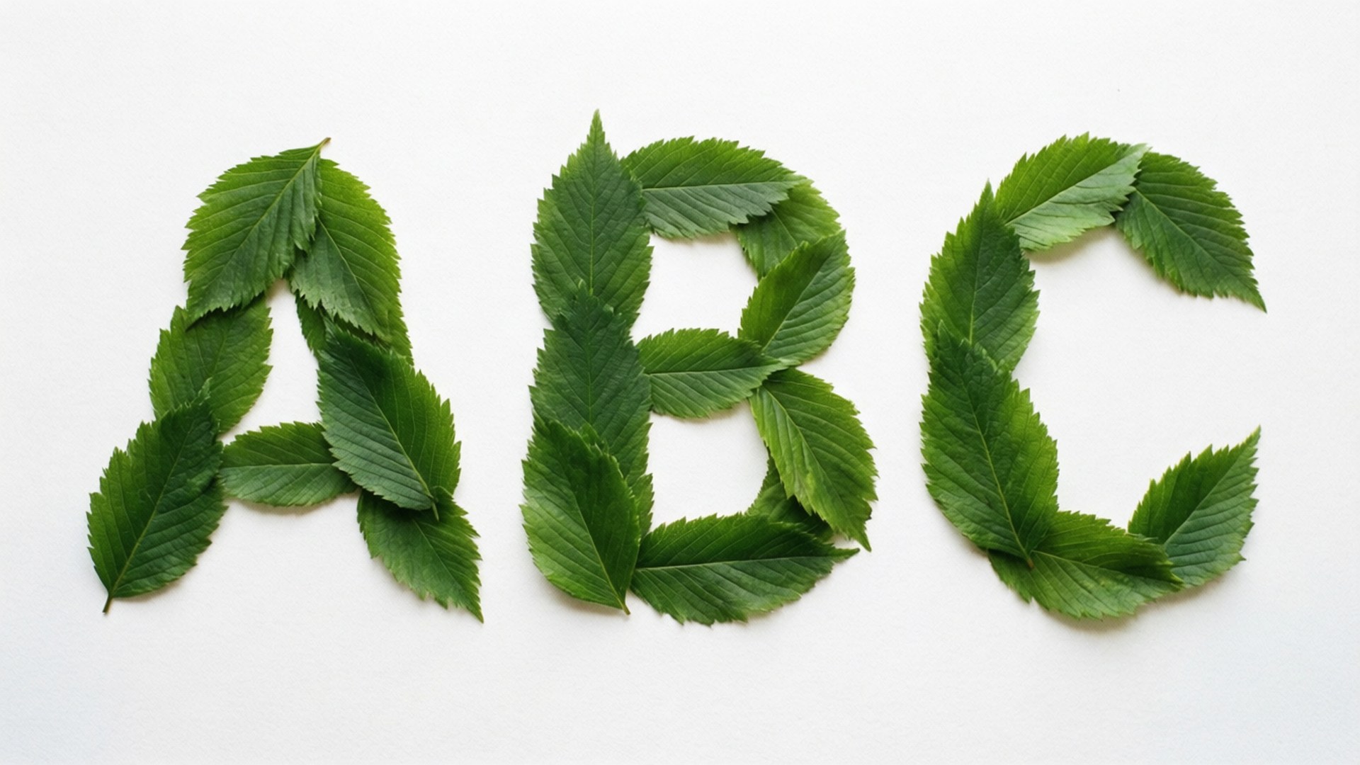 Leafy ABC Nature 壁紙 — 新鮮綠葉巧妙排列成英文大寫字母ABC，背景為純白色。