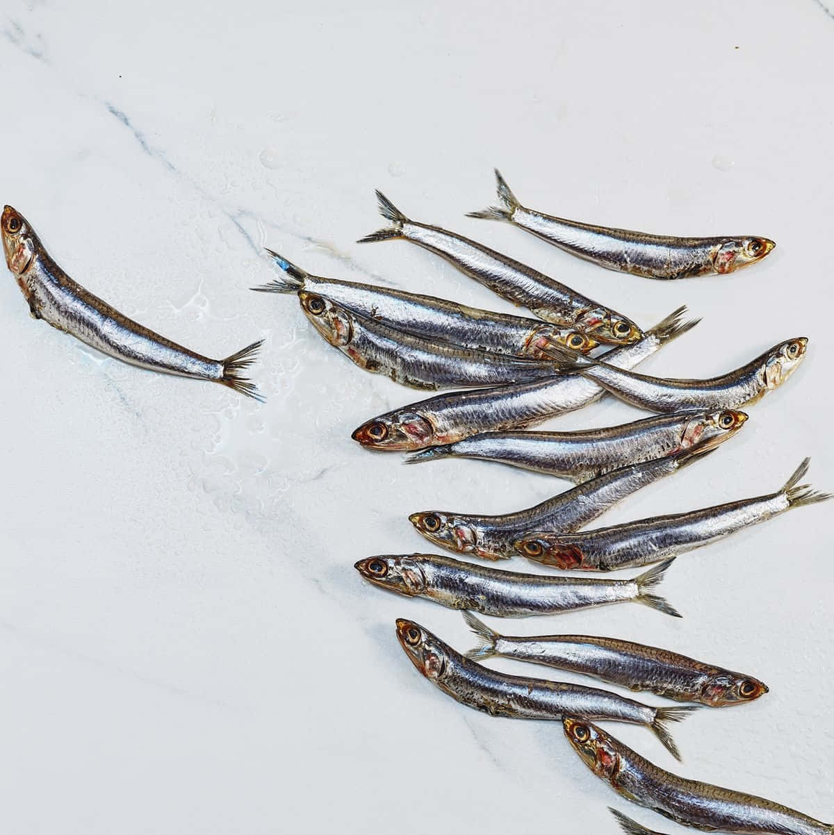  壁紙 — 新鮮的小銀魚排列在白色大理石表面上，帶有水珠。