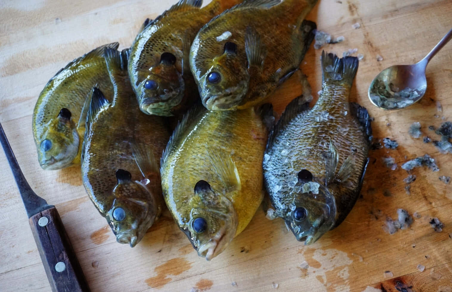  壁紙 — 新鮮捕獲的翻車魚，帶有引人注目的藍色眼睛，放在一個風化的木製砧板上，旁邊有一把刀和湯匙。
