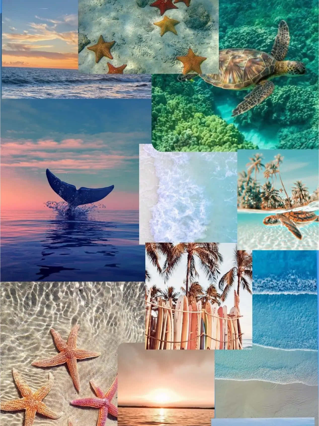  壁紙 — 一幅充滿活力的海洋場景拼貼畫，包含海星、珊瑚、海龜、鯨魚和棕櫚樹，背景是色彩繽紛的日落和日出。