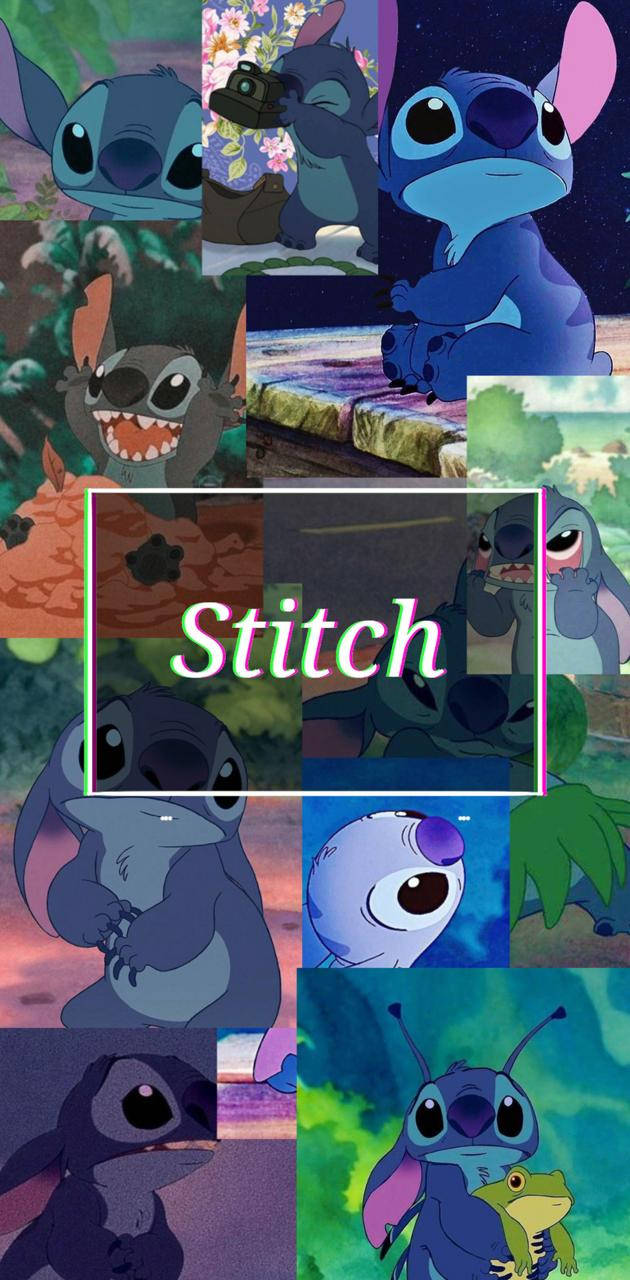 《星際寶貝》中史迪奇在不同場景和表情的拼貼畫。 — Stitch 壁紙