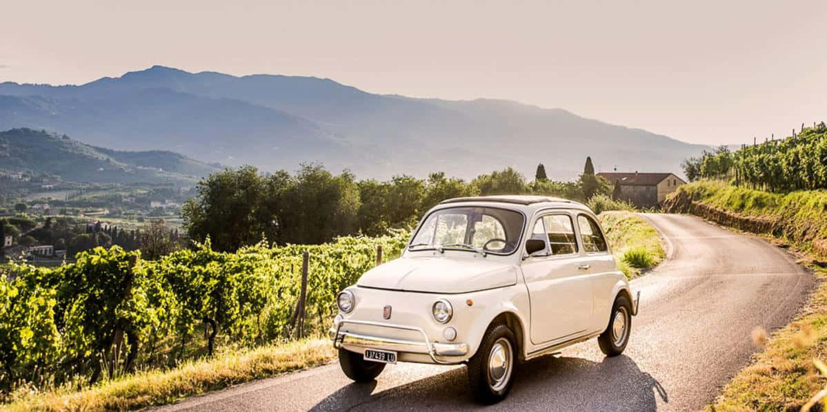Fiat 500 桌布 壁紙 — 一輛復古白色飛雅特500沿著蜿蜒的道路行駛，穿過陽光明媚的葡萄園，背景是起伏的丘陵。